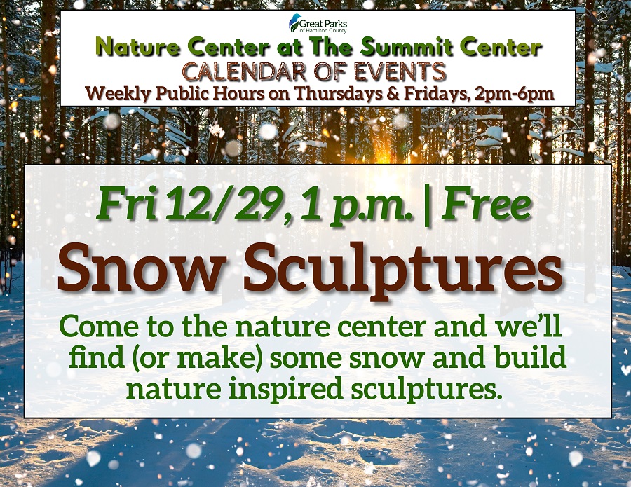 Nature Center at the Summit Snow Sculptures on Friday, December 29th at 1 p.m.